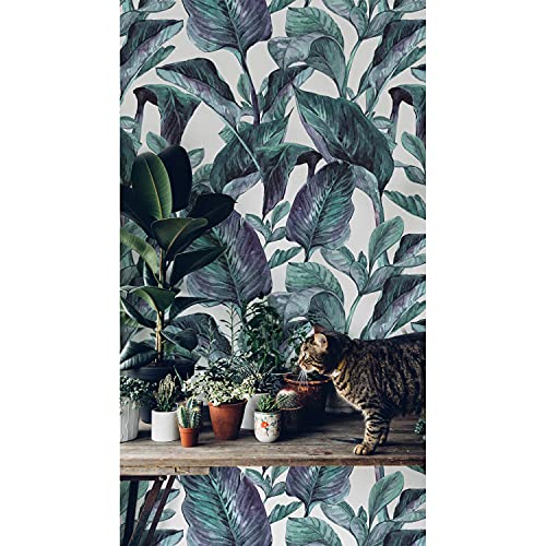 Papier peint feuilles de palmiers adhésif pour relooker un mur