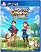 Produktbild Harvest Moon The Winds of Anthos