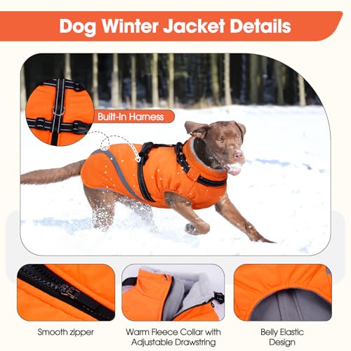 Image of BRKURLEG Dog Winter Jackets for Large Dogs, Dog Coat with Harness Built in, Dogs Snowsuits with Zipper, Waterproof Windproof Pet Puffer Jacket Fleece Vest for Labrador, Dalmatian, Orange XXL
