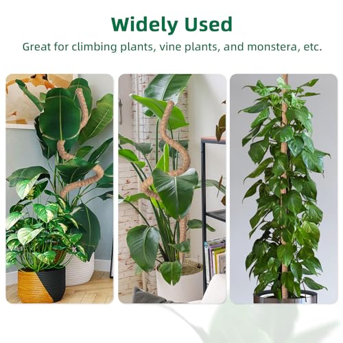 Mcbazel 160cm Monstera Rankhilfe Kokosfaser Moosstab biegbar Zimmerpflanzen – Ansicht 6