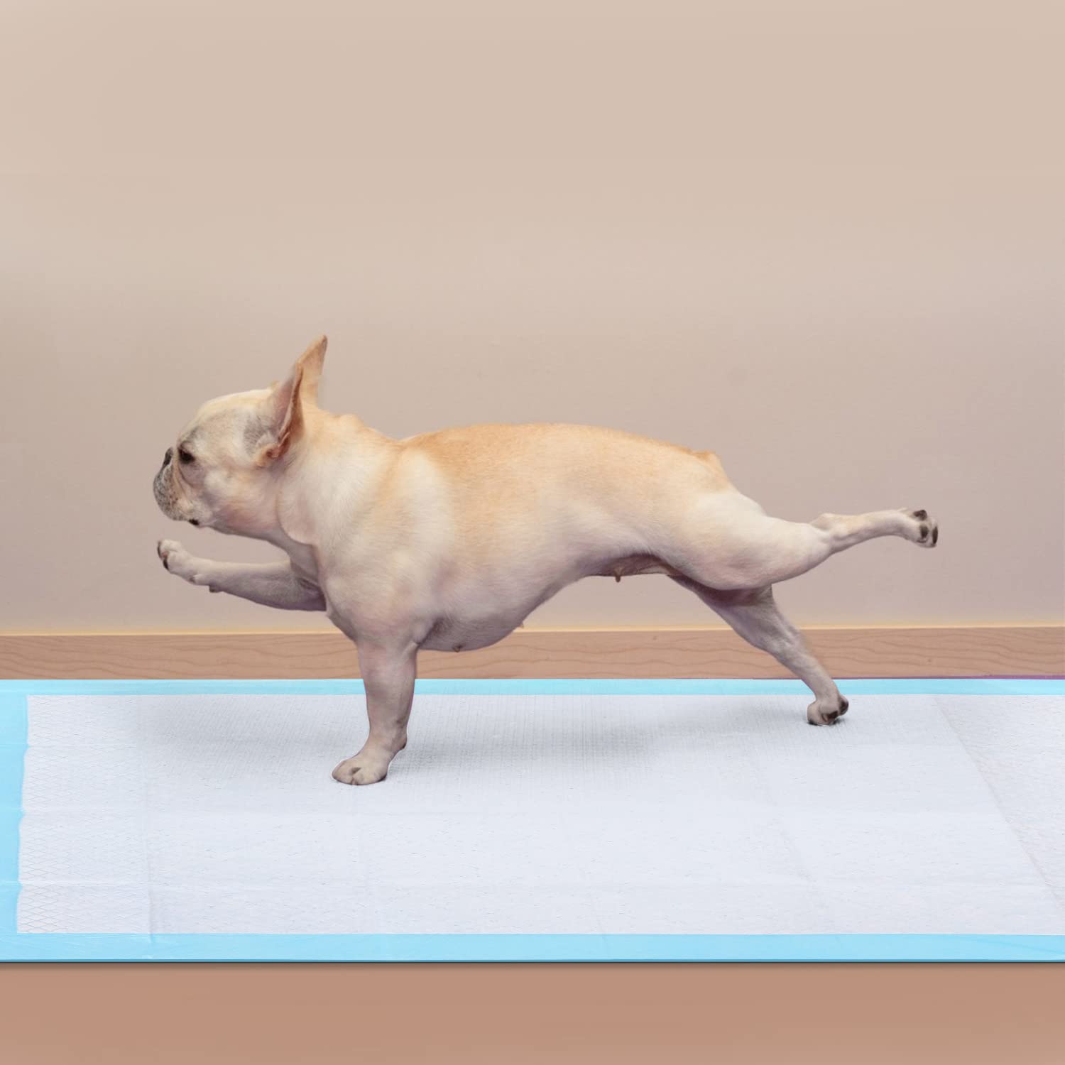 Nobleza 300x Empapadores Perros de Adiestramiento, Alfombras Higiénica de Entrenamiento para Mascotas, Caninas Alfombrilla, Ultra Absorbente 90 x 80cm