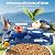 Smart Bird Feeder with Camera-Squirrel Proof & Weatherproof Outdoor Bird Watching Feeder with 2K HD AI Bird Identification for Garden & Backyard