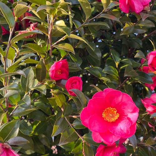 2026年はどんな年？なべちゃんさんとのライブ振り返り✨