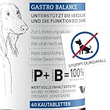 Kautabletten für Hunde bei Durchfall – Zur Stabilisierung der Darmflora & Verdauung – Diät-Ergänzungsfuttermittel – 40 x 2,5 g – animaux Gastro Balance