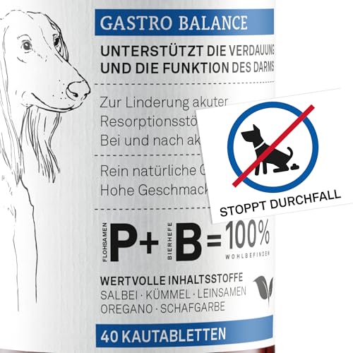 Kautabletten für Hunde bei Durchfall – Zur Stabilisierung der Darmflora & Verdauung – Diät-Ergänzungsfuttermittel – 40 x 2,5 g – animaux Gastro Balance