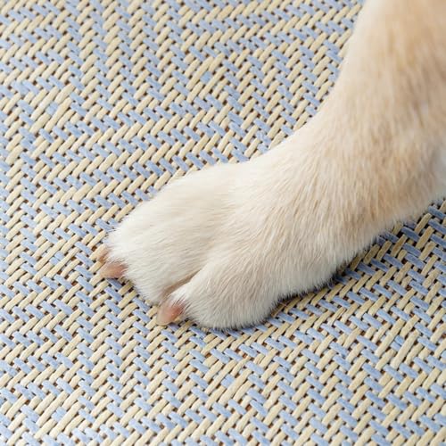 ENFILY Cama de gato fofa e confortável tapete para animais de estimação lavável respirável tapete de