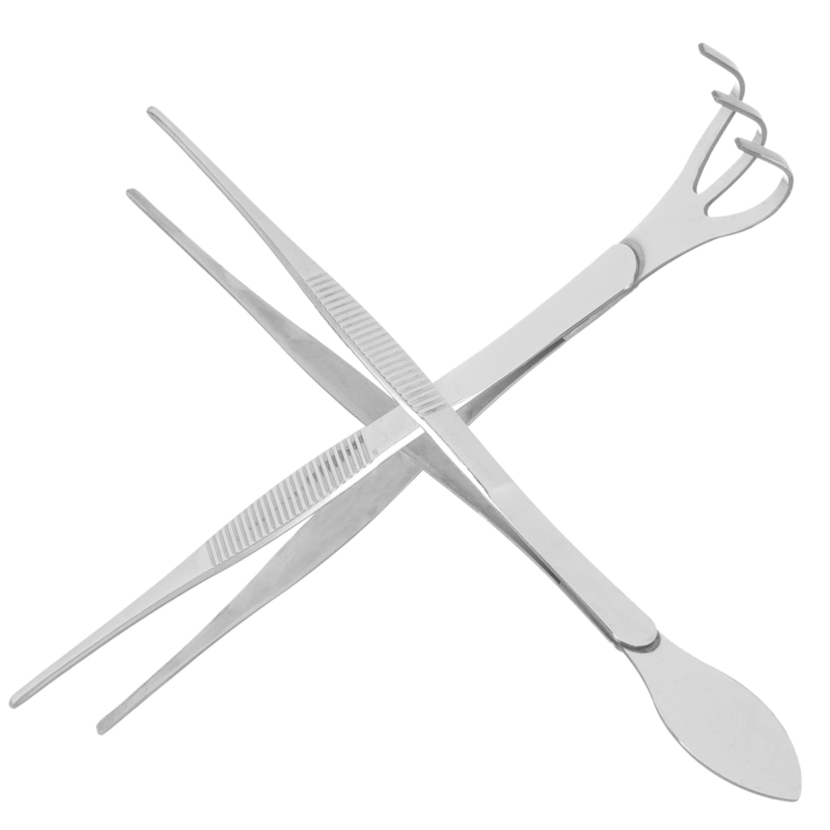 Sosoport 2sets Pinzette e Rastrello Inossidabile Per Bonsai Per Giardinaggio Per Raccogliere e