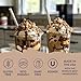 Jordan's Skinny Mixes Peanut Butter Cup Skinny Syrup