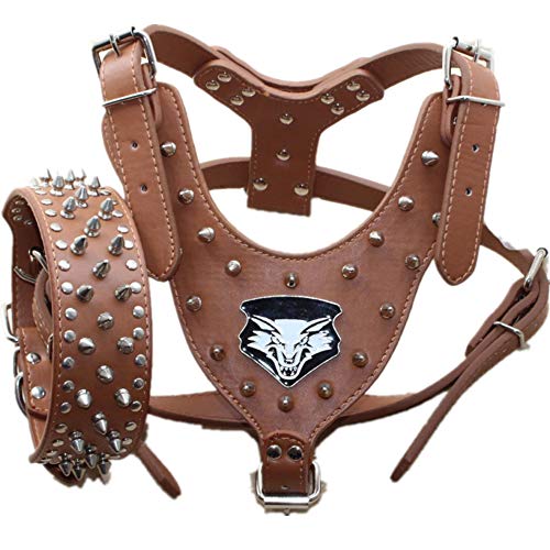 haoyueer Hundehalsband, Leder, mit Nieten, mittelgroß und groß, 2 Stück, passendes Set für Pit Bull, Mastiff, Boxer, Bullterrier
