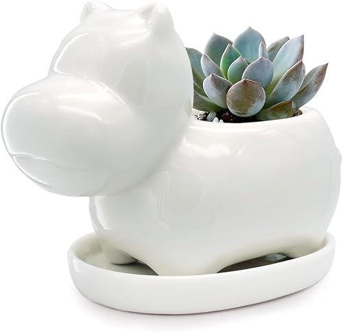 Miniatura 8 de GeLive Juego de 2 macetas de cerámica blanca de ballena para suculentas, maceta de aire, caja de ventana, contenedor decorativo, 4 pulgadas, uso en