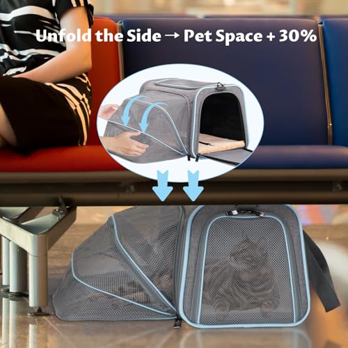 Petsfit Transportadora para Gatos Pequenos, Transportadora Expansível Aprovada Pela Companhia Aérea