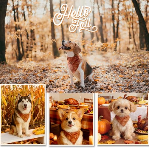 ICEMOOD Herbst-Bandana für Hunde – Herbstlaub Skizzen-Print, Dreieckstuch mit Druckknopf für Mädchen, perfektes Accessoire für das Erntedankfest, Mittel und Large, 16-40 Kg