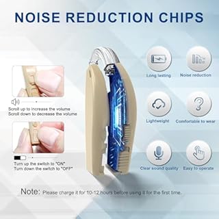 Acustico Ricaricabile For Adulti Con Riduzione Intelligente Del Rumore, Amplificatore Acustico BTE For Anziani Con Suono Naturale, Scatola Di Ricarica Che Indica La Carica Residua (marrone)(Skin tone)