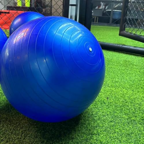 Exercise Fitness Swiss Yoga Ball for Home Gym Yoga, Pilates, Fitness, Postnatal Repair Birthing Balls - Image 3