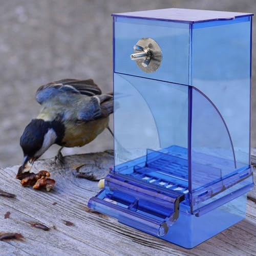 Alimentador automático de pajarera acrílico transparente con gran depósito de comida 7