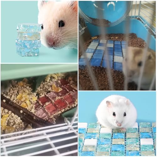 Image of 2 Pack Hamster Chiller Glass Stone Hamsters Cooling Pad Dwarf Hamster Bedding Cool Plate Tiles Ice Bed for Rabbits Guinea Pig Gerbil Chinchilla Bunny Ferret and Other Small Animals Small Pets