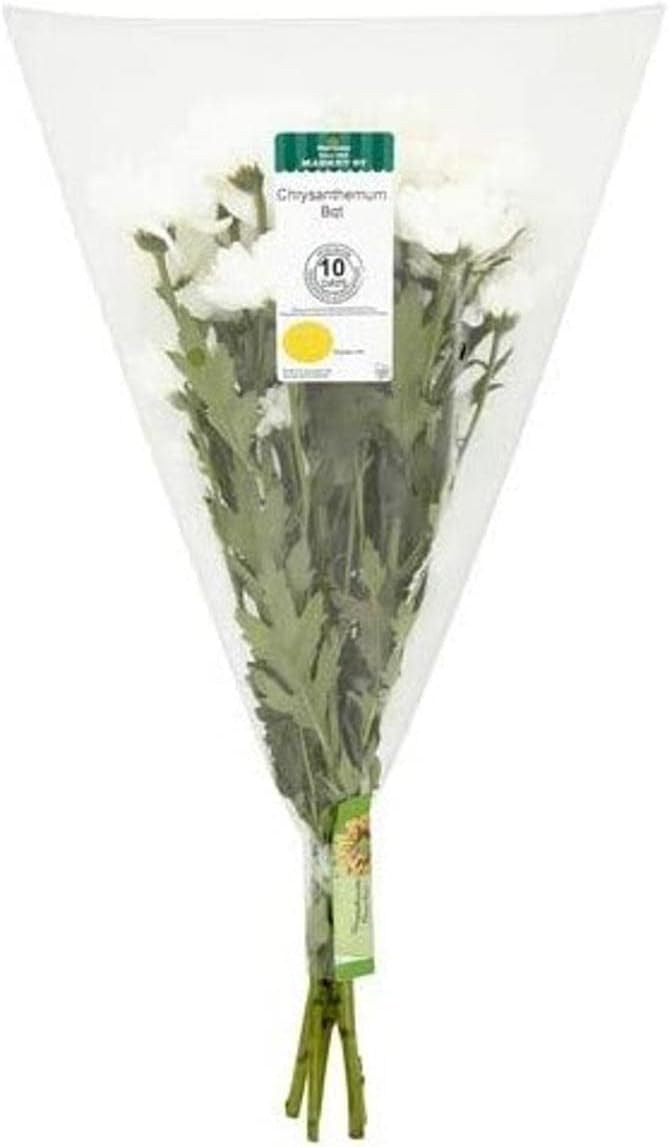 Morrisons Chrysanthemum Amazon.co.uk Garden