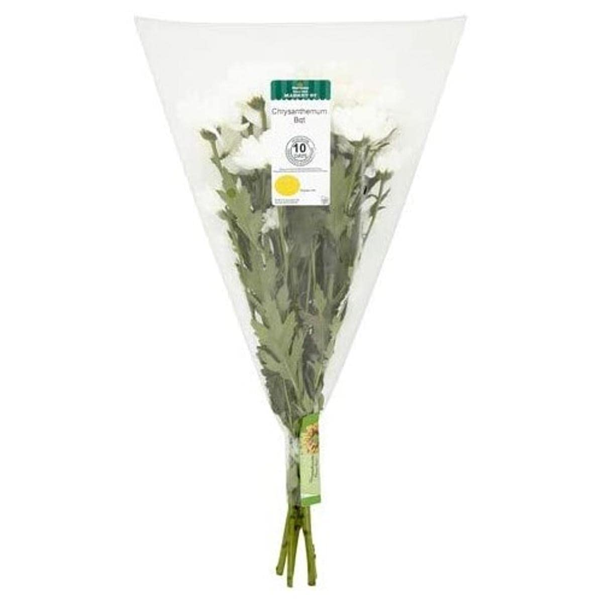 Morrisons Chrysanthemum