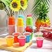 Roshtia 100 Pack 2 oz Plastic Shot Cups, Mini Disposable Shot Glasses 2 oz Party Cups for Valentine Wedding New Year Party, Beer Taste Serving, Snacks(Multi Colors)