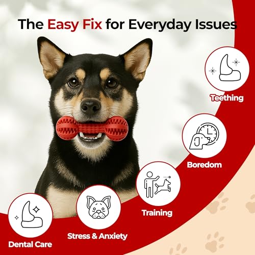 Image of JAYU PET Dog Chew Toy Toothbrush for Small & Medium Dogs