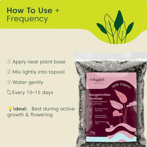 Image of Kyari Bougainvillea Fertilizer 1kg | Plant Food for More Flowers, Bright Colour Blooms & Healthy Vine Growth | Promotes Faster Flowering for Home Garden Plants