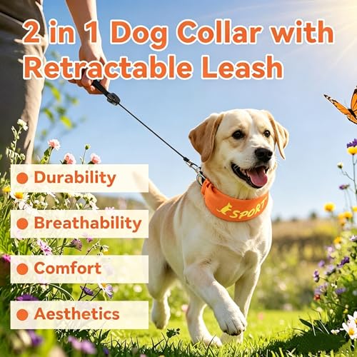 NAMSAN Dog Collar and Leash Set for Medium to Large Dogs, 31" Retractable Large Dog Leash with Adjustable Collar, D-Ring to Hang Pet Tags, All in One Auto-Retracting Leash Collar, L — view 4