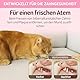 ZexJpr 12 StüCk Katzenminze Spielzeug, Katzenspielzeug Mit Katzenminze, Zahnpflege Katzen Und Stick Katze, Katzenspielzeug, Hilfe Katzen Mundhygiene Und Zahnpflege