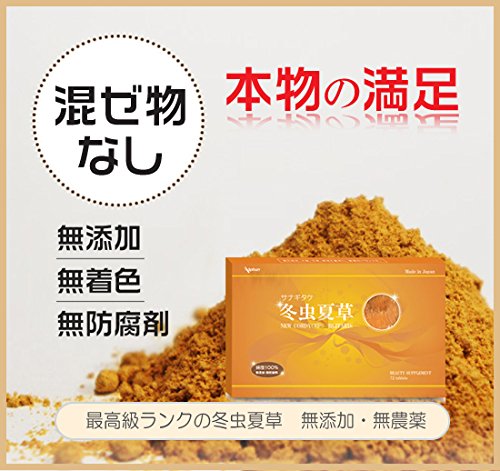 日本安惠 冬虫夏草サプリ 3箱セット