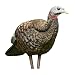 Avian-X Breeder Hen Turkey Decoy,  Lifelike Collapsible Decoy With Carbon Stake and Carry Bag