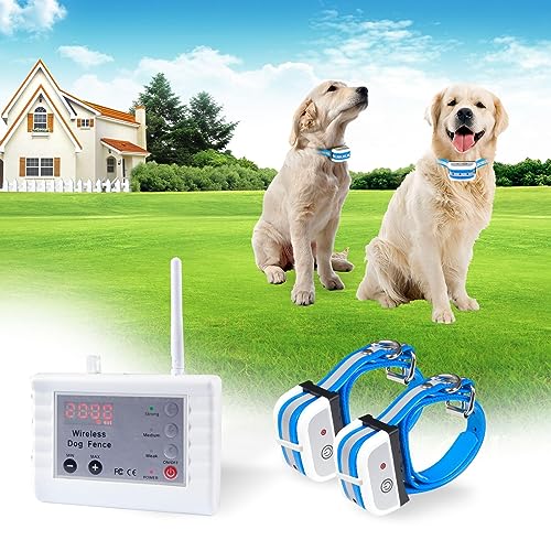 Top 10 Best Dog Invisible Fence System Reviews & Buying Guide Katynel