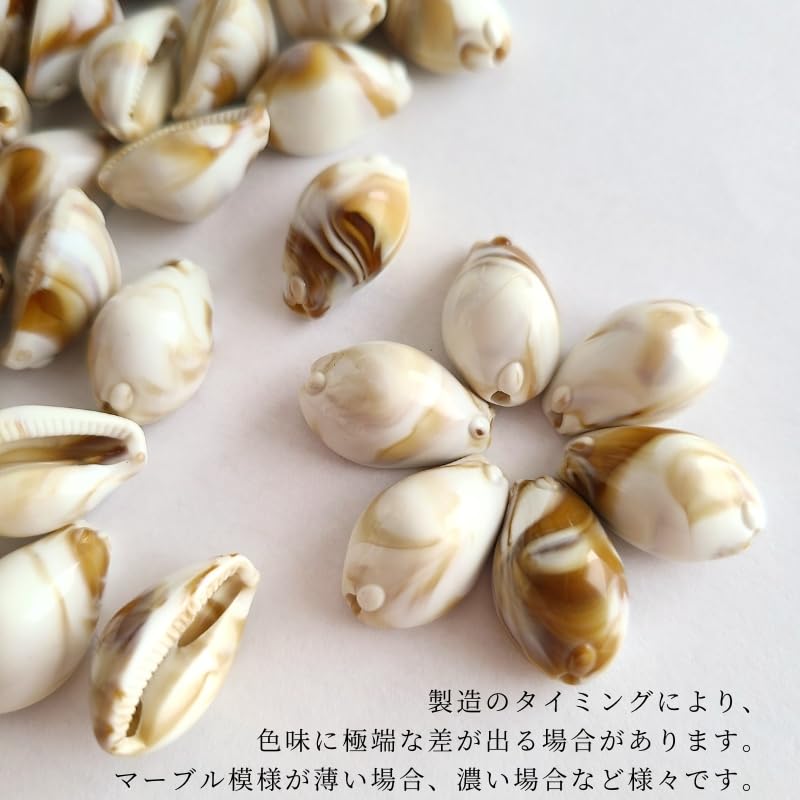 Amazon.co.jp: カウリーシェル シェルビーズ 【12個 / 約 20mm