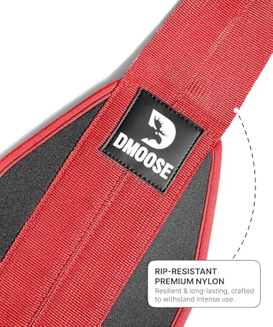 DMoose Fitness Hanging Ab Straps for Pull Up Bar & Core Strength Training - Soft Padded Exercise Straps for Ab Swing & Leg Raises, Hang Bar Strap with 2 Steel Carabiners - Abs Equipment for Home & Gym