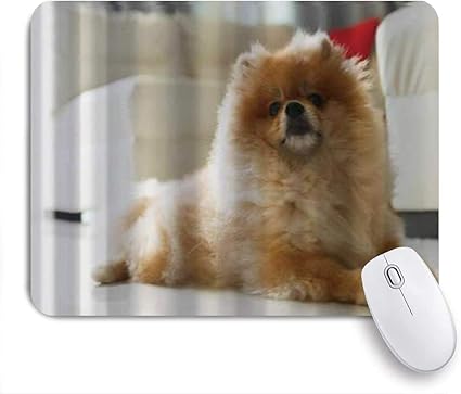 Amazon Miscery マウスパッド ふわふわ茶色のポメラニアンかわいい犬小型ペット 高級感 おしゃれ 防水 端ステッチ 耐久性が良い 滑らかな表面 滑り止めゴム底 24cmxcm Miscery マウスパッド 通販