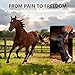 Mekenwi Reusable 30Grids Gel Horse ice Boots (Set of 2) - Adjustable 5 Legs Wraps for Cooling Relief on Hocks, Knees & Ankles, Durability & Cooling in Active Horses