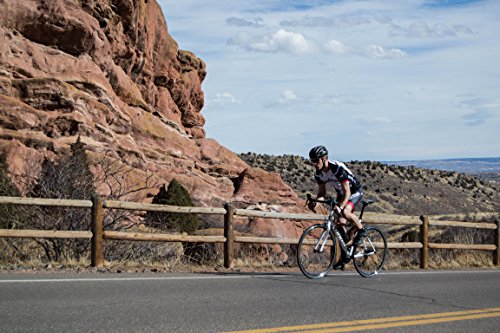 tommaso forcella endurance aluminum road bike