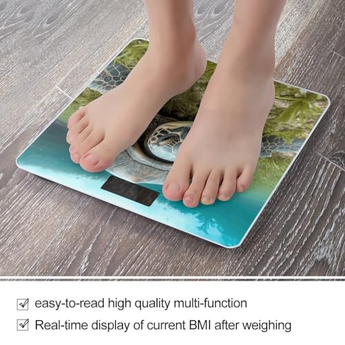 Báscula digital de baño Big Tortoise alta precisión miniatura 5
