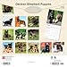 German Shepherd Puppies | 2026 12 x 24 Inch (Hanging) Monthly Square Wall Calendar | Plastic-Free | BrownTrout | Animals Dog Breeds Puppy