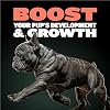 Bully Max 2-in-1 Puppy Vitamins - 30 Chewable Tablets for Development and Growth of Puppies - Dog Treats, Vitamin & Supplements for Small Dogs & Large Breed Growing Pups - Can Be Used as Food Topper