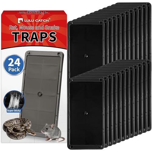 Image of LULUCATCH Mouse Traps 24 Pack, Larger Heavier Glue Traps for Mice, Rat & Snakes, Non-Toxic Sticky Mouse Traps Indoor for Home & Kitchen, Easy to Set