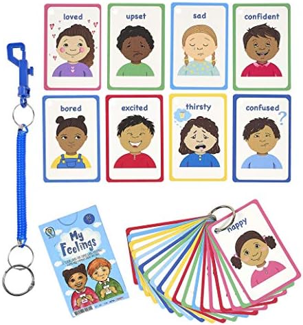My Feelings Cards and Emotions Flash Cards for Special Needs, Autism as Cue Cards, Aiding with Empathy and Social Skills, Also a Great Tool for SENCO