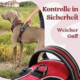 rabbitgoo Hundegeschirr Mittelgroße Hunde, Verstellbare Geschirr Hund ohne Zug & Würgen, Anti Zug Hundegeschirr mit Griff, weich Gepolsterte Reflektierende Brustgeschirr, Rot M