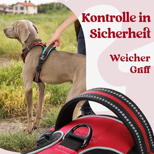 rabbitgoo Hundegeschirr Grosse Hunde, Verstellbare Geschirr Hund ohne Zug & Würgen, Anti Zug Hundegeschirr mit Griff, weich Gepolsterte Reflektierende Brustgeschirr, Rot L