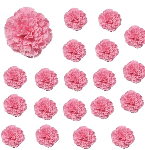 siawadeky J[l[V  Ԃ̂ 20Zbg Ԃт lH ԓ VN tFCNt[ ͂Ȃ ԗ wAANZT[ DIY ̓ EGfBO p[eB[p nhCh Mtg Be