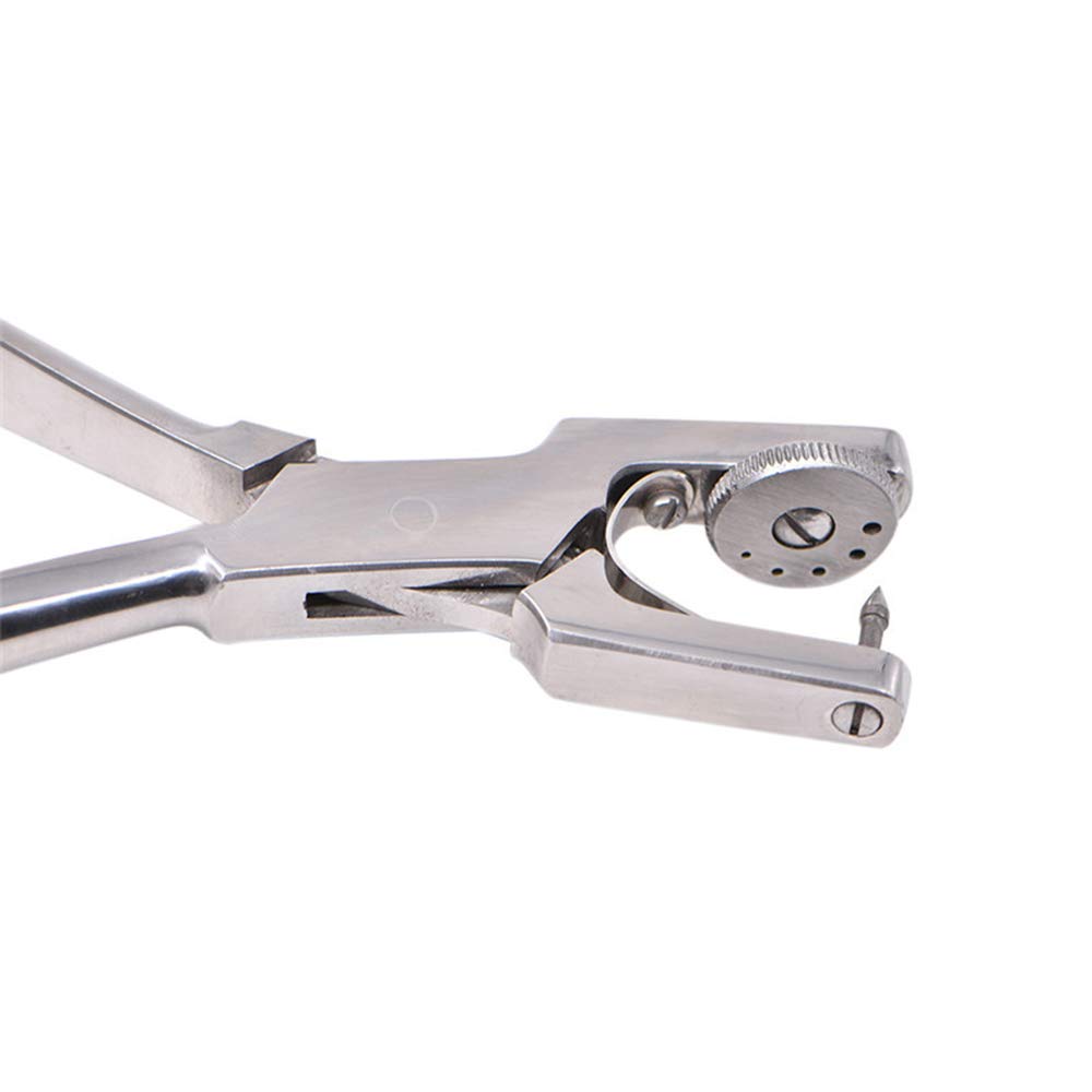 Dental Kofferdam Kit, Kofferdam Perforator Puncher, Zahnpflege Zange KFO-Material, Zahnarzt Laborgerät, Mit Aufbewahrungstasche, 1 Set