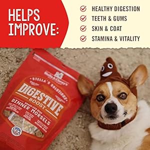 Stella & Chewy’s – Stella’s Options Digestive Enhance – Grass-Fed Beef Dinner Morsels – Freeze-Dried Uncooked, Protein Wealthy, Grain Free Canine Meals – 4.25 oz Bag