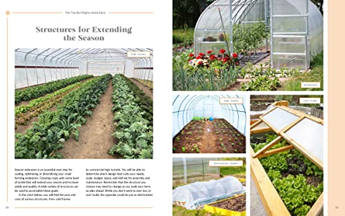 The Tiny But Mighty Farm: Cultivating High Yields, Community, And Self-Sufficiency From A Home Farm - Start Growing Food Today - Meet The Best ... Yourself, Your Family, And Your Neighbors #TOP5