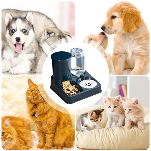 Distributeur d'eau pour chat pour éviter les gamelles renversées - 6