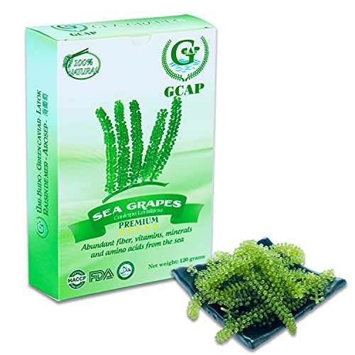 GCAP Salted sea grapes â€“ PREMIUM â€“ Dehydrated seaweed, Umibudo, Green Caviar, Lato seaweed - a great superfood for your health (4.23 OZ of 6 packs)