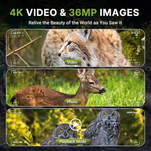 Digital Night Vision Binoculars for Hunting