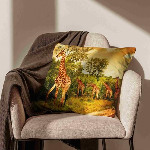 Taie d'oreiller imprimé linge housse coussin extensible 50x50